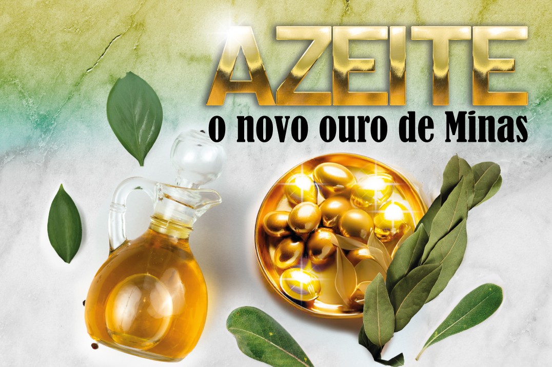 Terra do café e do queijo, Minas Gerais também tem se destacado na produção de azeite 