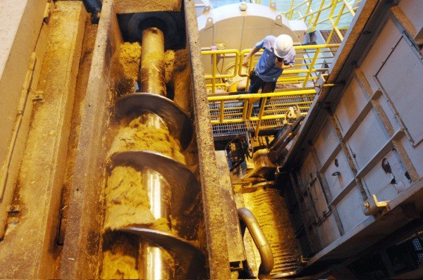 Biomassa é uma das principais fontes energia brasileira atualmente