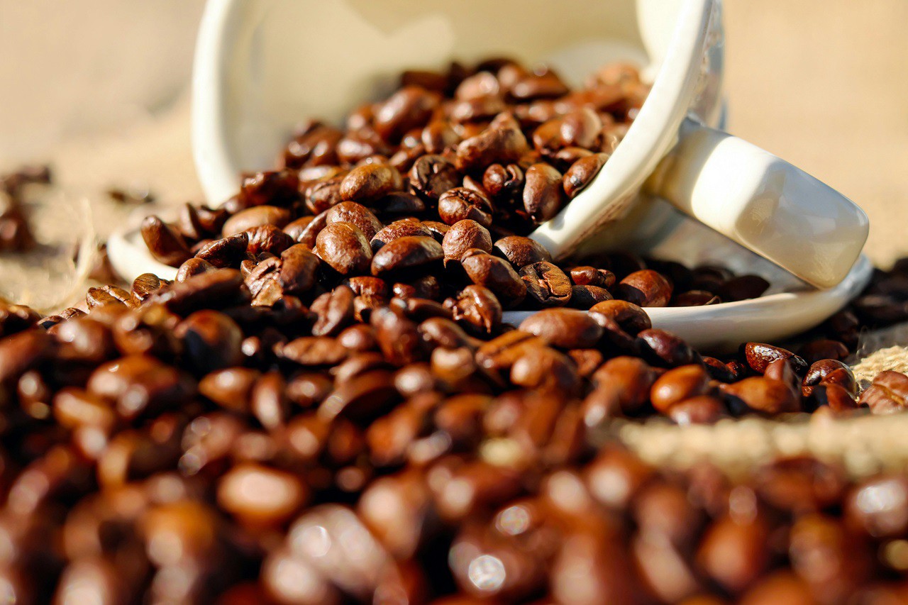 EUA são o principal destino do café exportador pelo Brasil