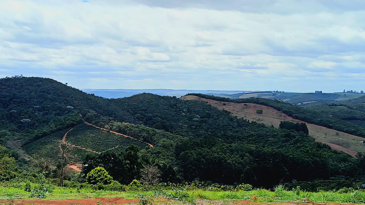 Café está transformando a vida de milhares de pequenos produtores e ressignificando a vocação do Vale do Jequitinhonha para a riqueza
