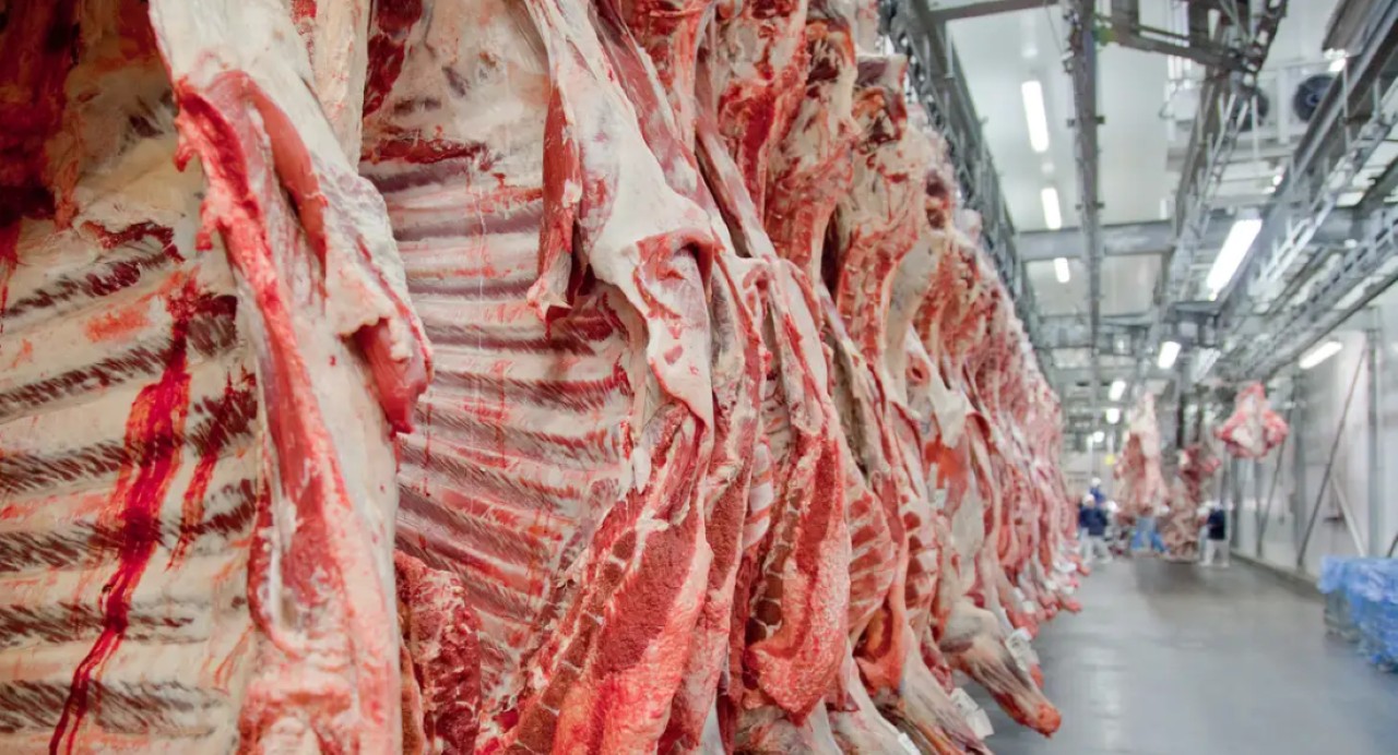 Demanda por carne bovina é crescente em diversos países