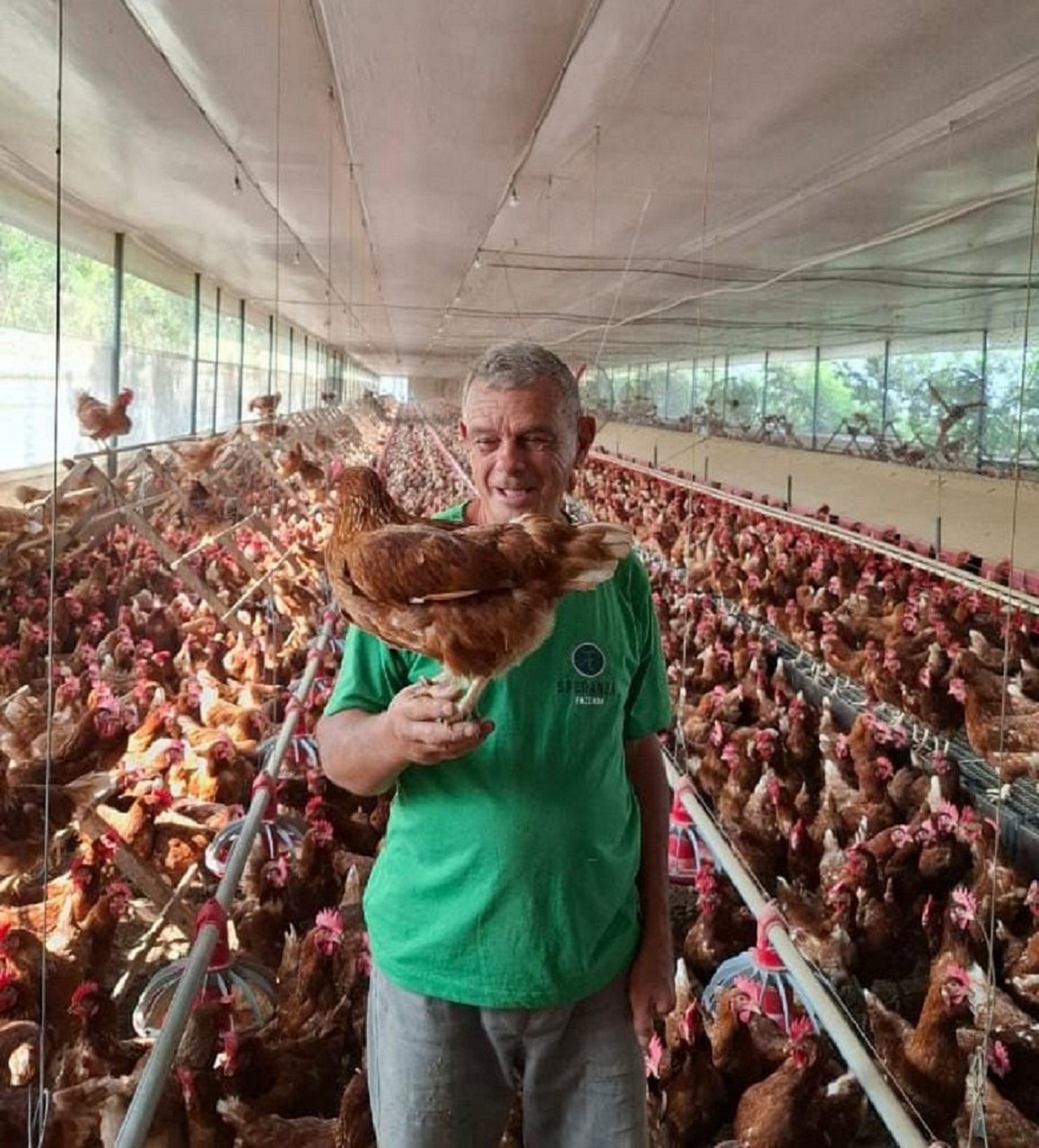 Na Fazenda Speranza, as galinhas vivem em local com manejo controlado