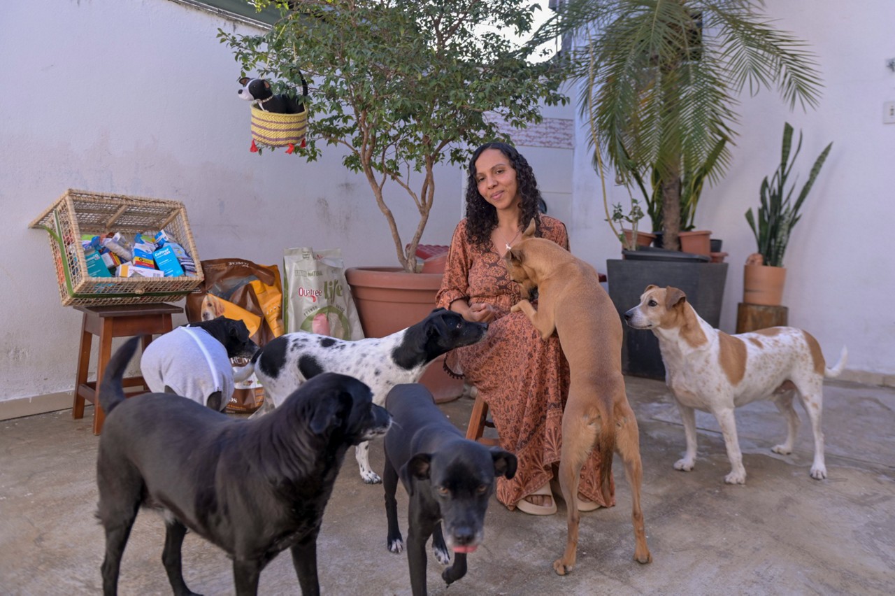 Aline Paixão gasta cerca de R$ 2.500 com animais resgatados em busca de adoção
