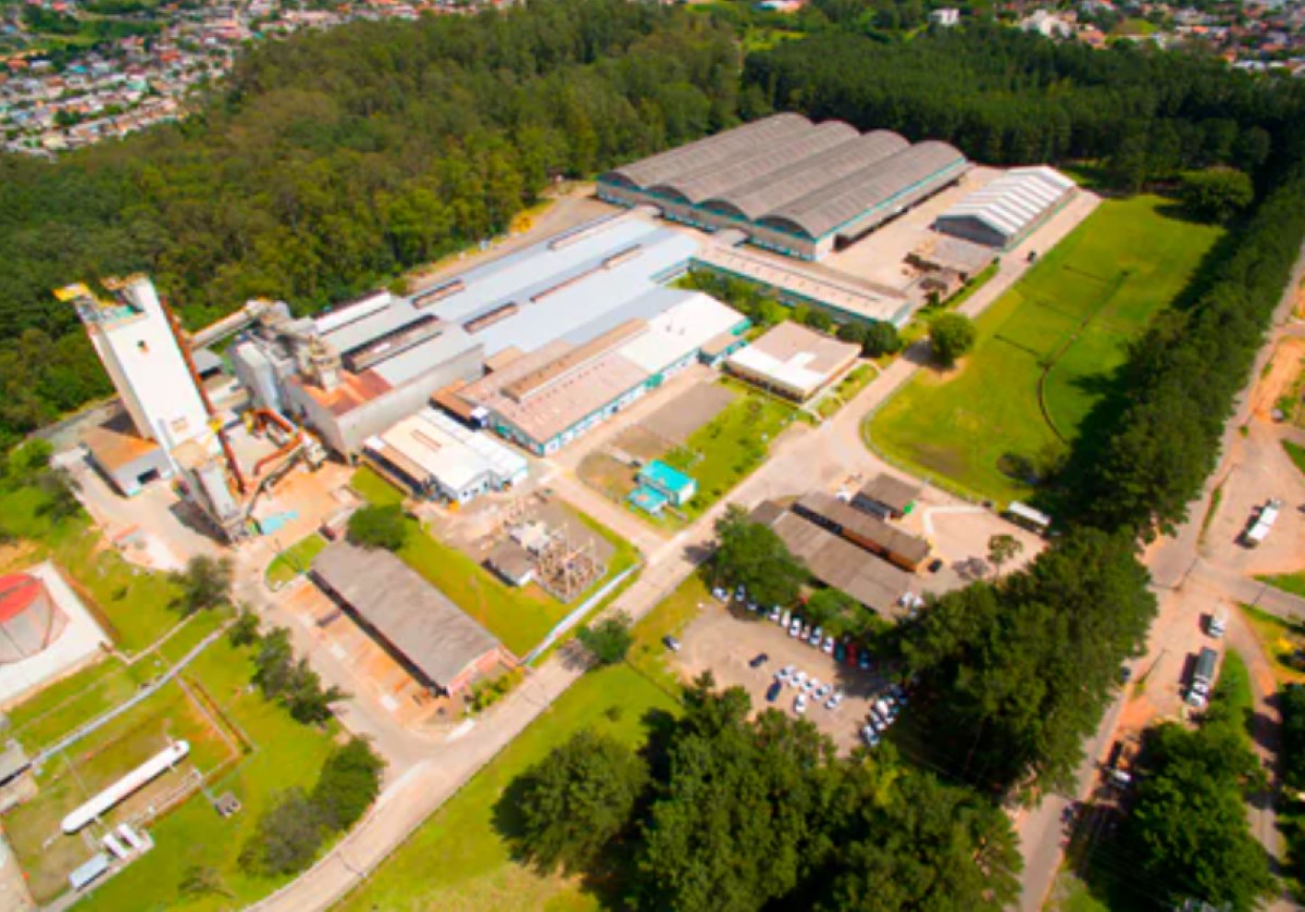 Planta brasileira da Verallia