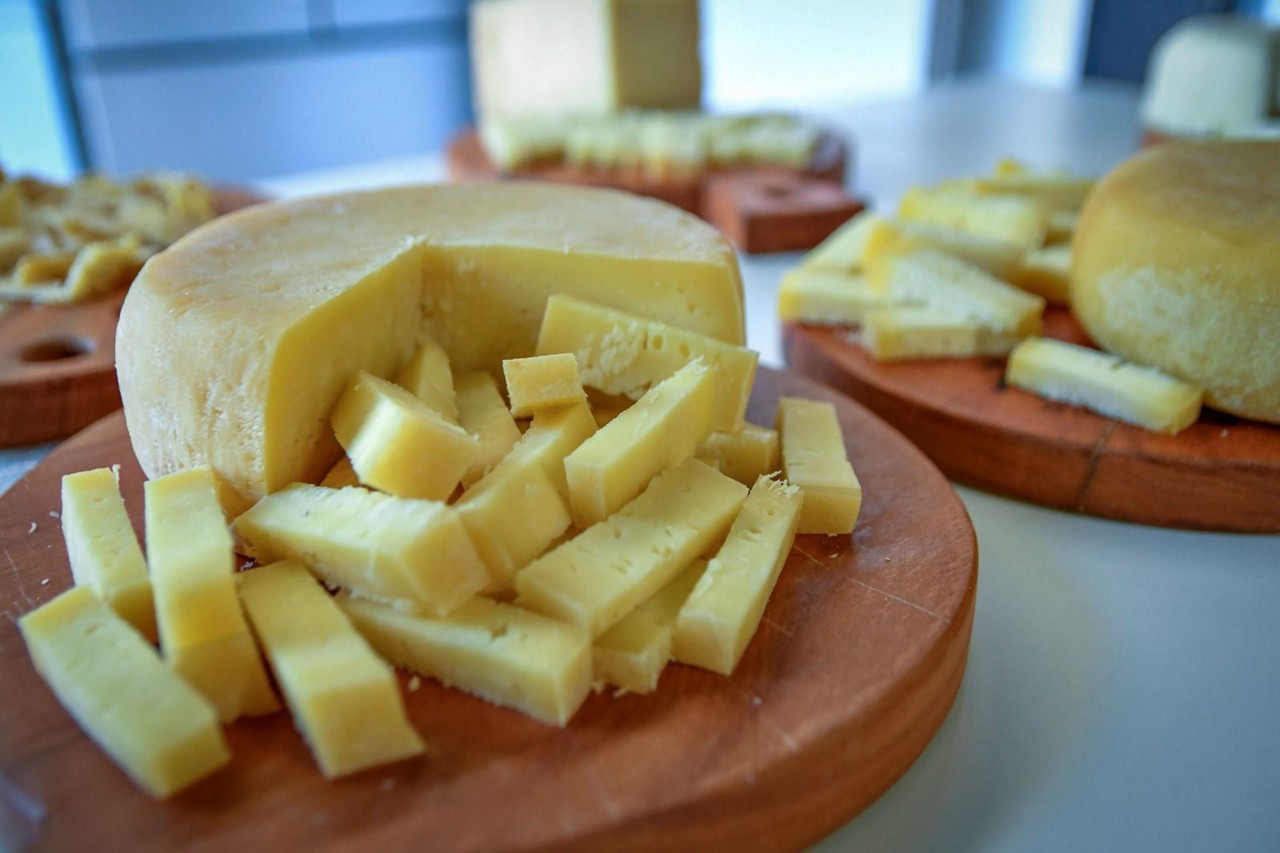 Festival do Queijo Artesanal de Minas vai oferecer produtos de diversas regiões do Estado 