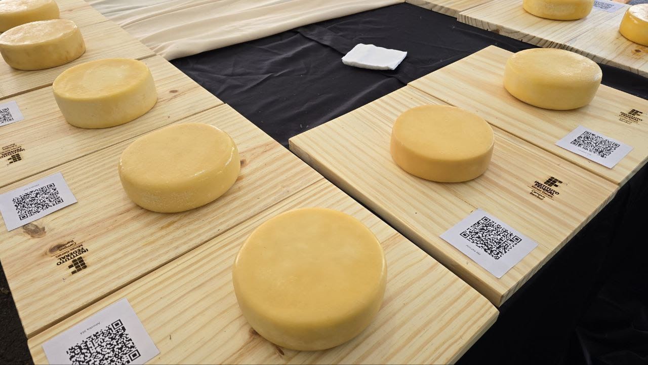 29 produtores disputaram o 21º Concurso Regional do Queijo Minas Artesanal da Canastra