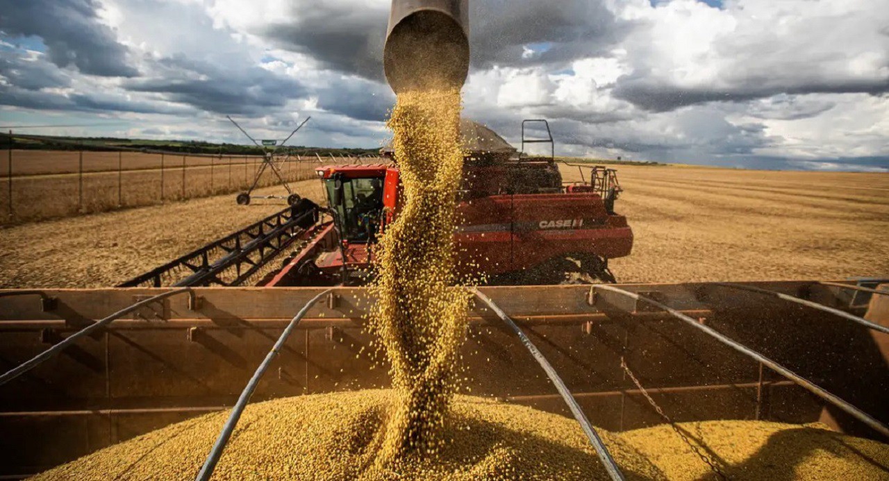 Brasil já começou a exportar mais soja para a China