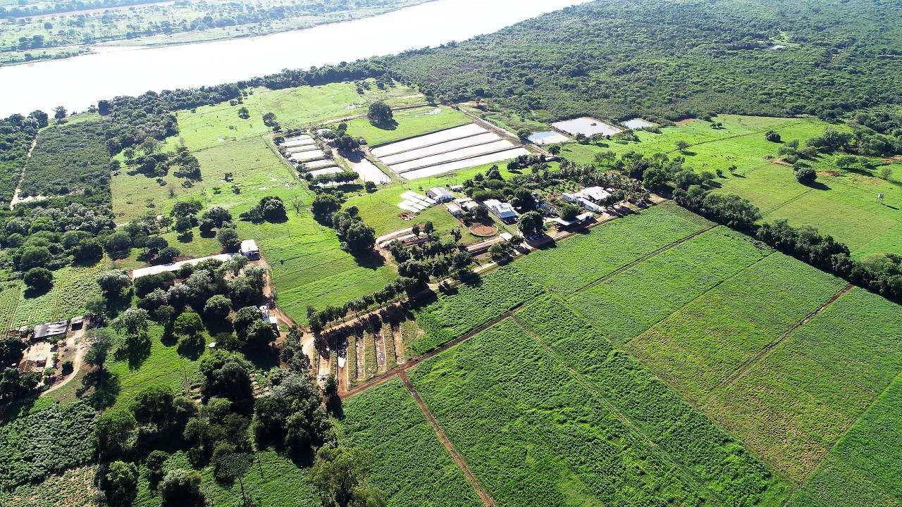 Às margens do Rio São Francisco, a fazenda Vista Alegre consegue um saldo de zero efluentes no rio com ações sustentáveis