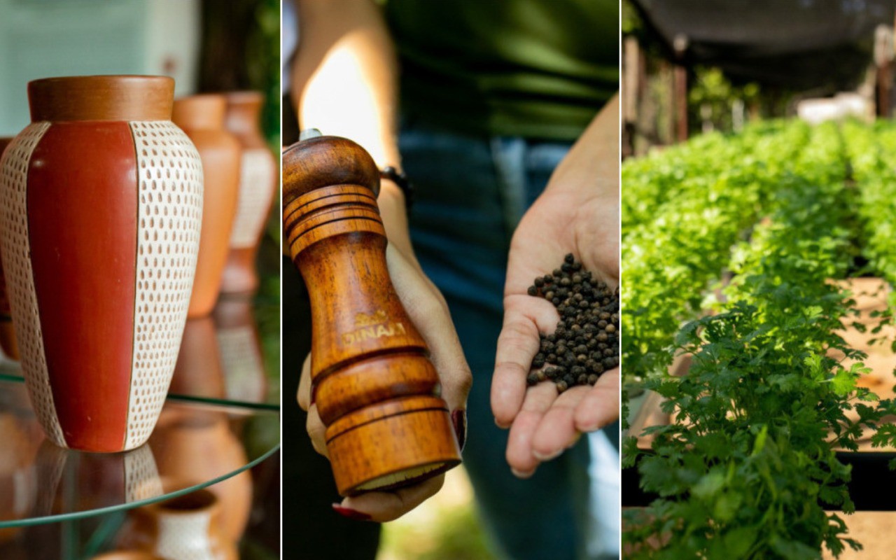 Vale impulsiona projetos de empreendedorismo e sustentabilidade no Pará 