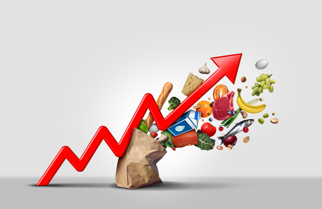 Os grupos Habitação e Alimentação/Bebidas tiveram maior influência nos resultados do IPCA em outubro