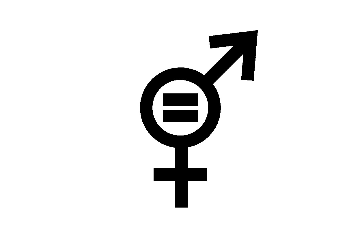 Gender equal sign vector icon. Men and women equal