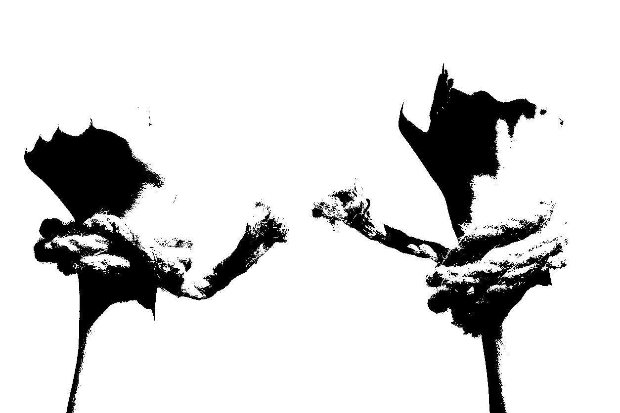 Hands tearing shackles the background of blue sky. Concept of freedom