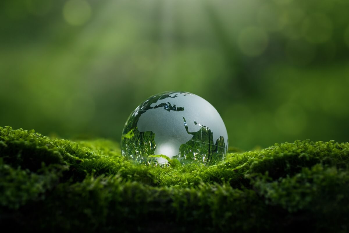 Temas sobre o meio ambiente podem ser cobrados nos vestibulares