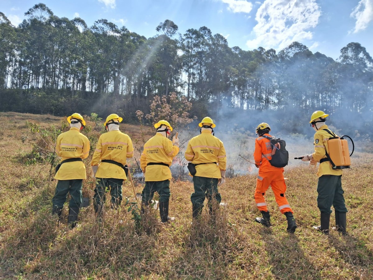 Brigadistas atuam no combate a incêndios e ações de prevenção