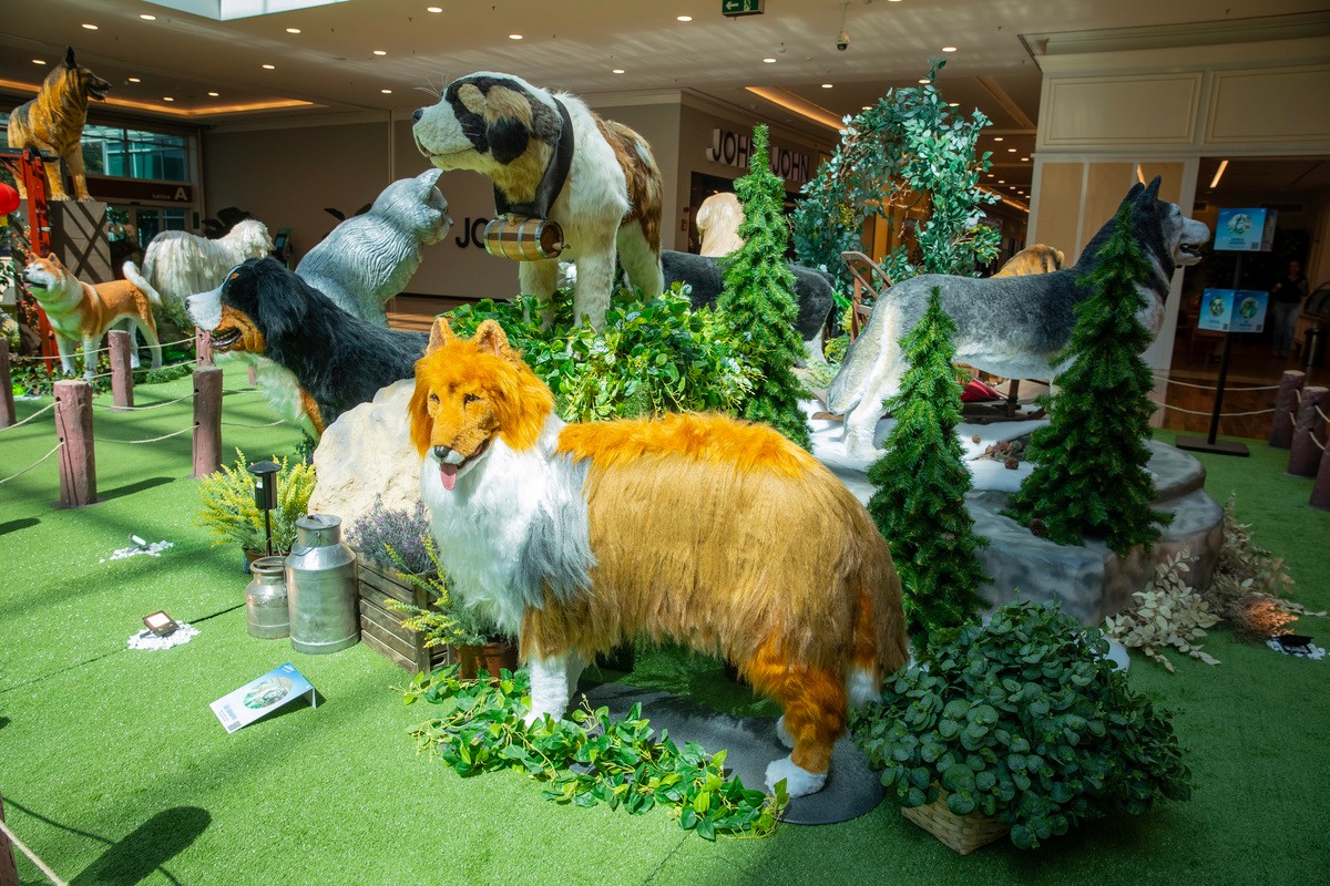 Exposição retrata cães e gatos