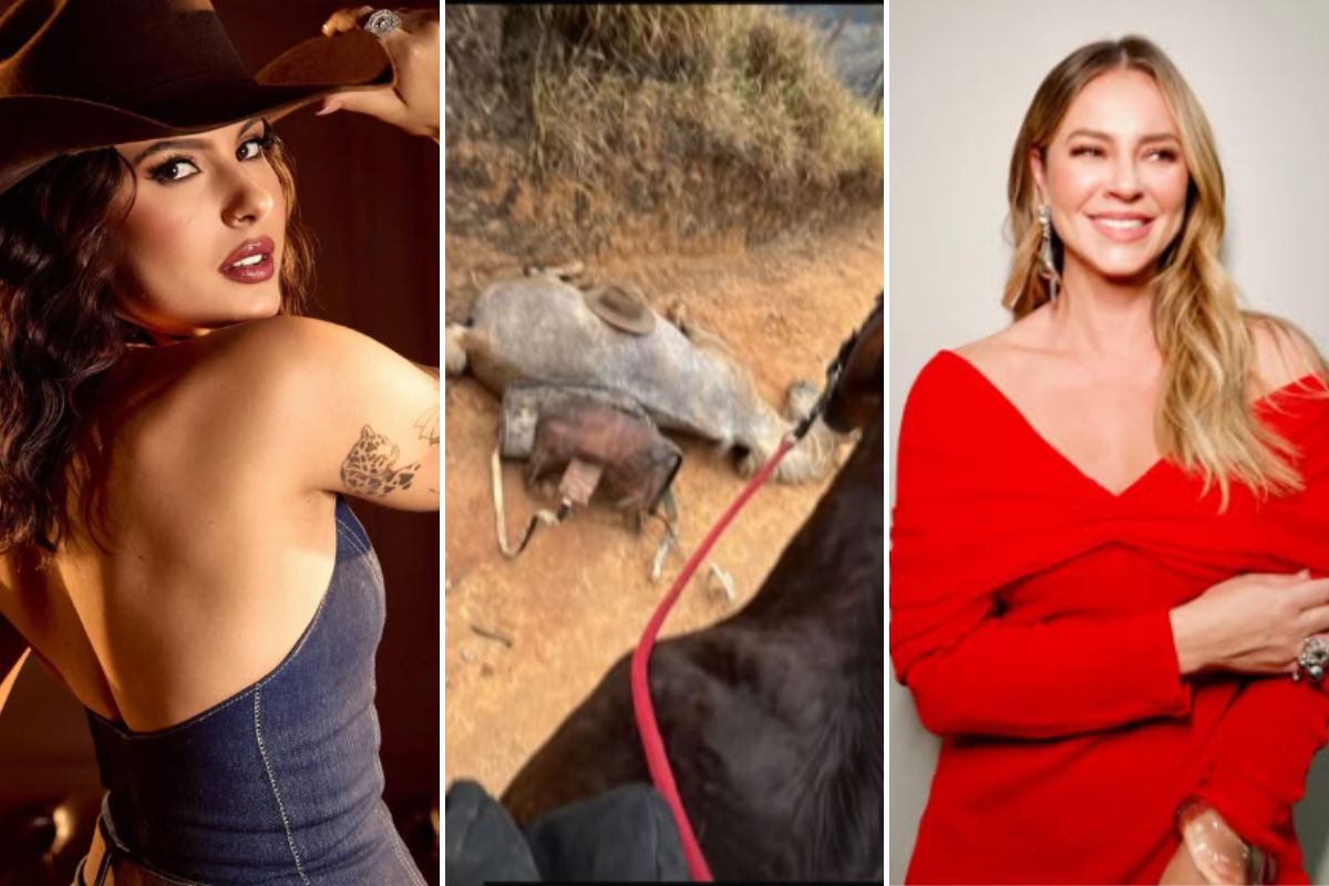 Ana Castela e Paolla Oliveira cobram punicação a suspeito de mutilar cavalo em Bananal (SP)