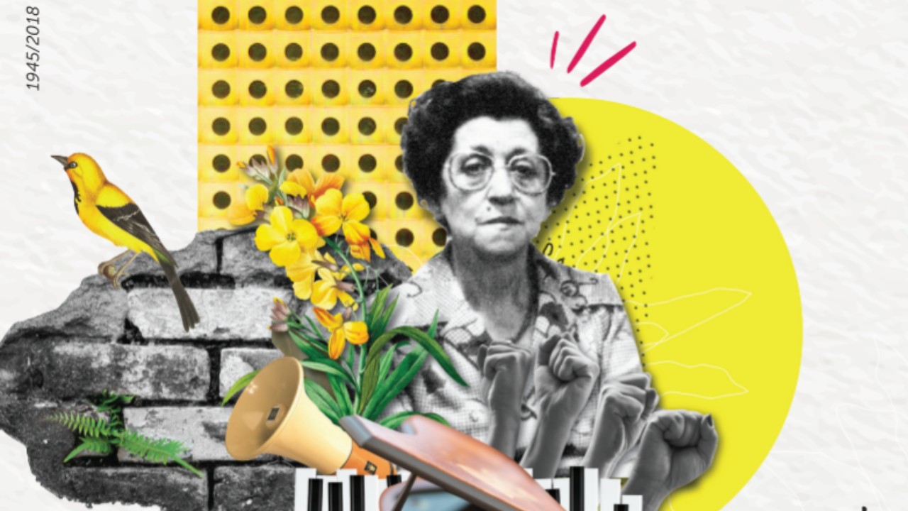 Documentário "A Casa de Dona Helena Greco"