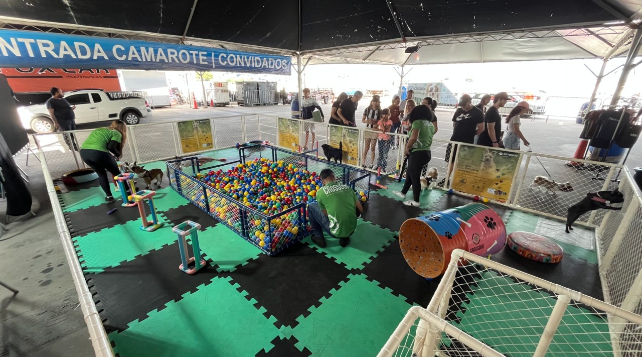 No domingo (7/9), das 10h às 14h, acontece a primeira edição fixa da Feira Pet Arena CrossDog, na Feira do Mineirinho