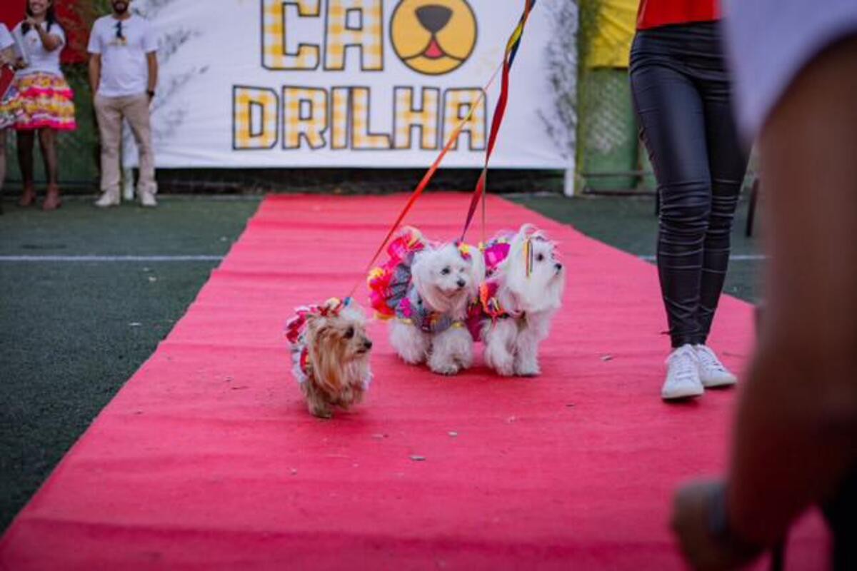Evento acontece desde 2014