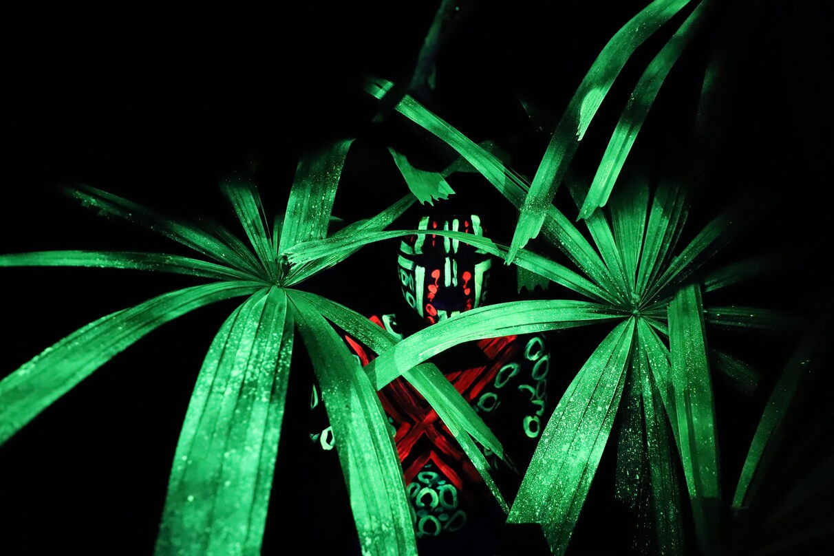 Foto da série Os Espíritos da Floresta (2025), de Paulo Desana