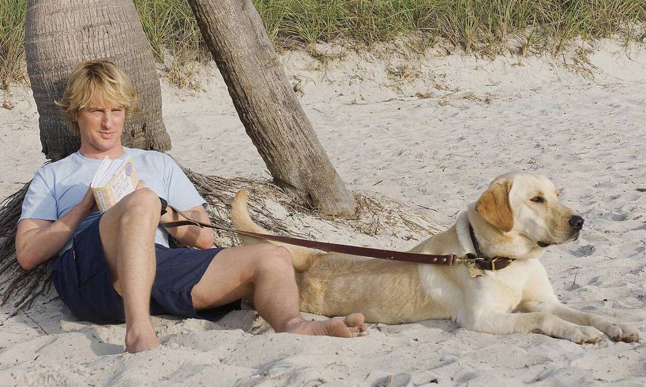 O foto 'Marley & Eu' é um dos destaques desta semana na Sessão da Tarde