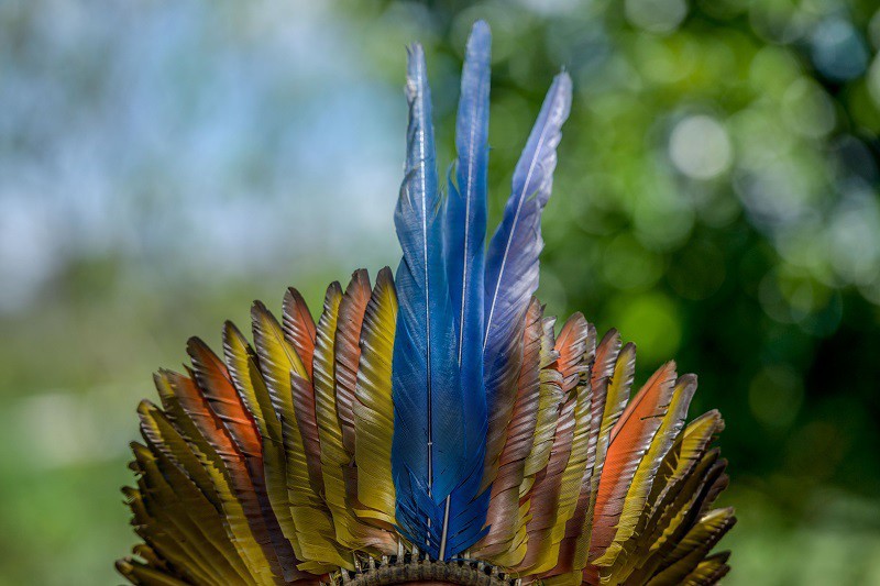 Justiça determina proteção integral da Terra Indígena (TI) Kaxixó