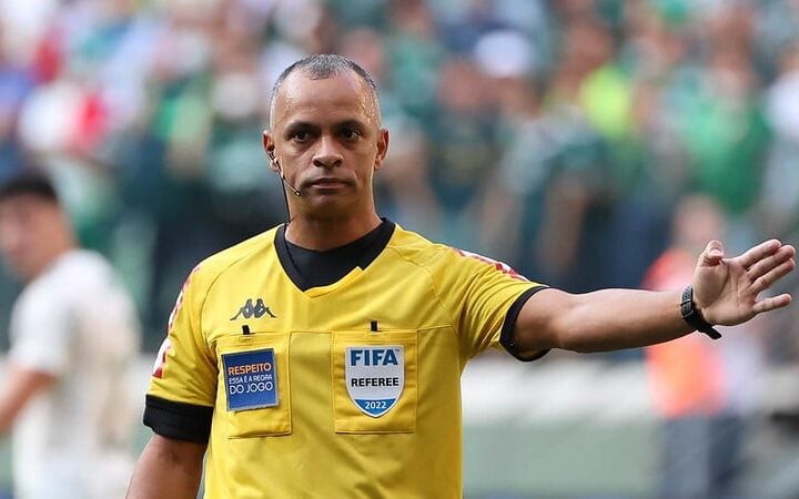 Wilton Pereira Sampaio durante partida do Brasileirão (Foto: Cesar Greco/Palmeiras)