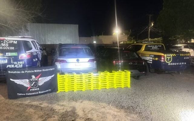 Polícia apreendeu droga no Mato Grosso do Sul (Foto: Divulgação/PMR)