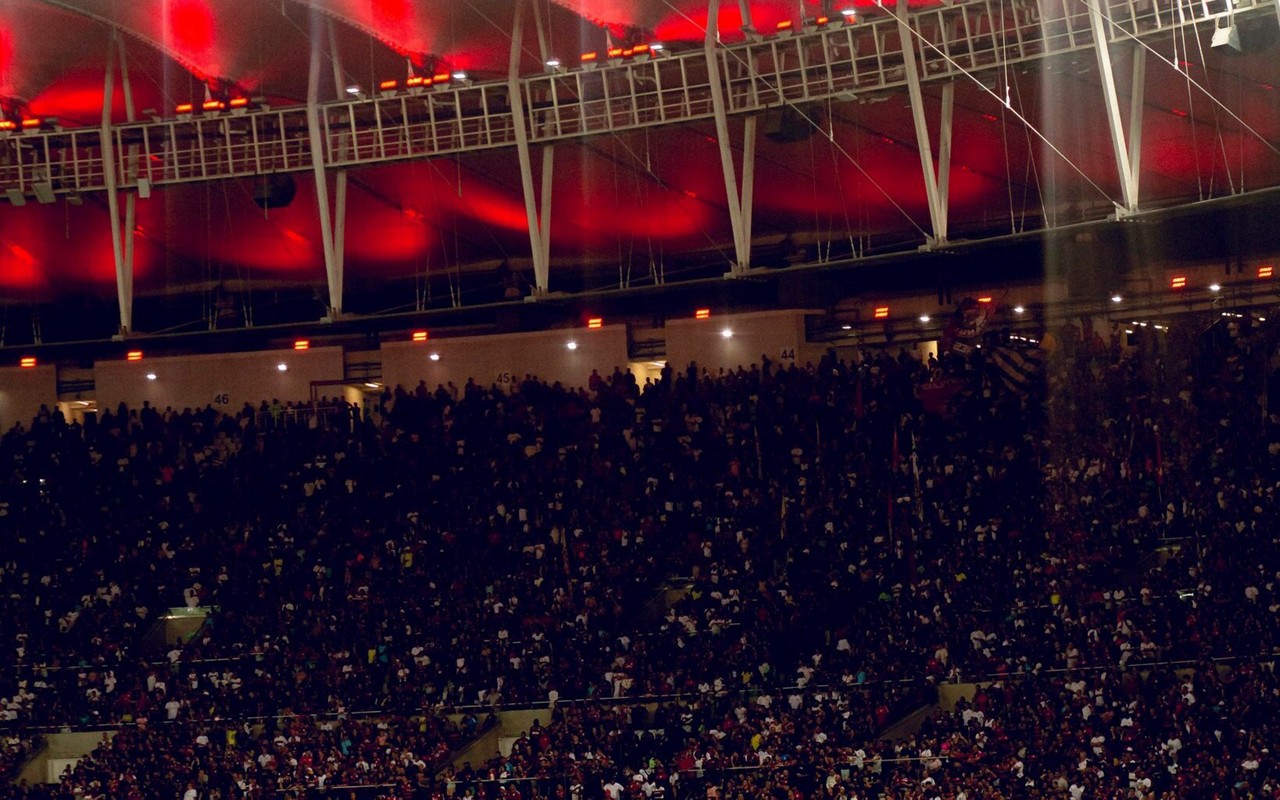 Torcida do Flamengo durante partida contra o Juventude, pelo Brasileirão (Foto: Adriano Fontes / Flamengo)