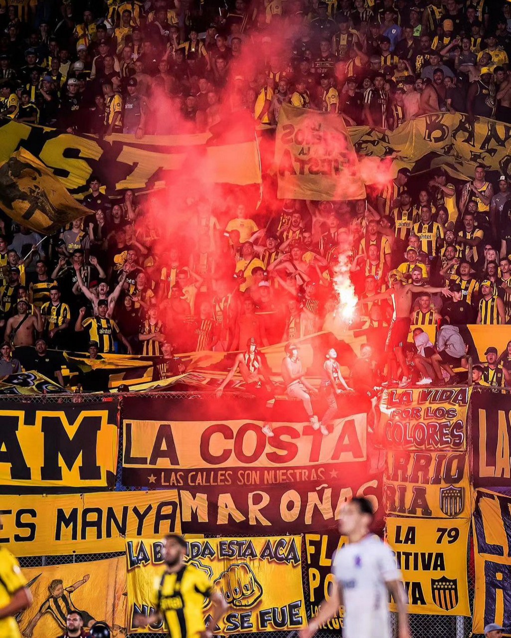 Torcida do Peñarol na Copa Libertadores da América