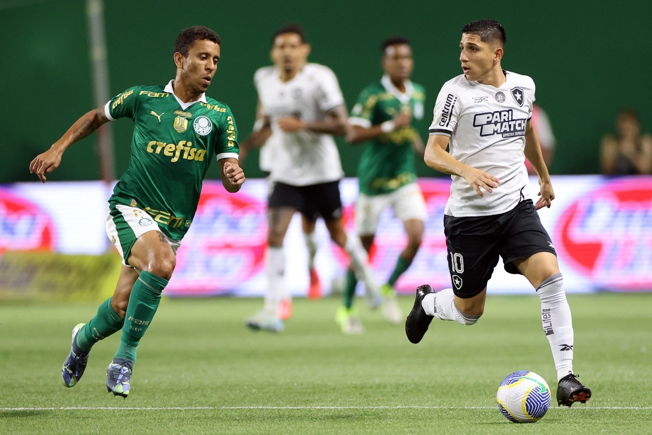 Botafogo e Palmeiras chegam à última rodada com chances de título