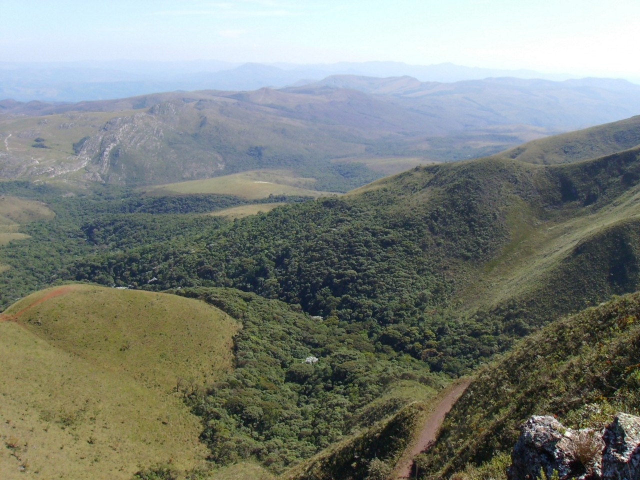 Biodiversidade da serra da Gandarela é ameaçada pela mineração da Vale