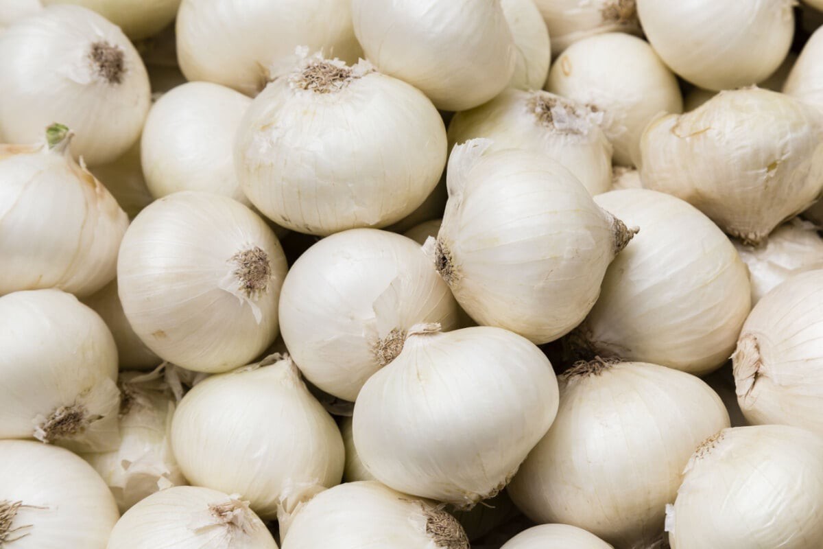 A cebola é um ingrediente versátil na cozinha