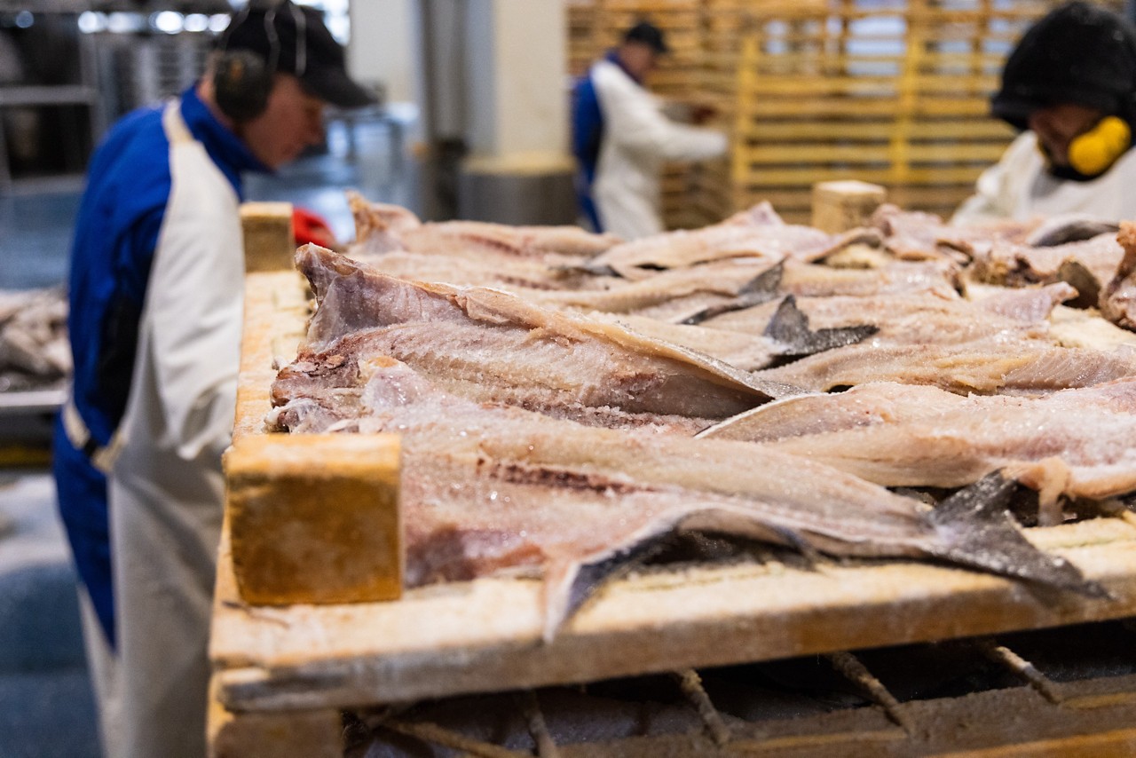 Os noruegueses preservam peixe em conserva; nas fábricas a salga é feita em salmora