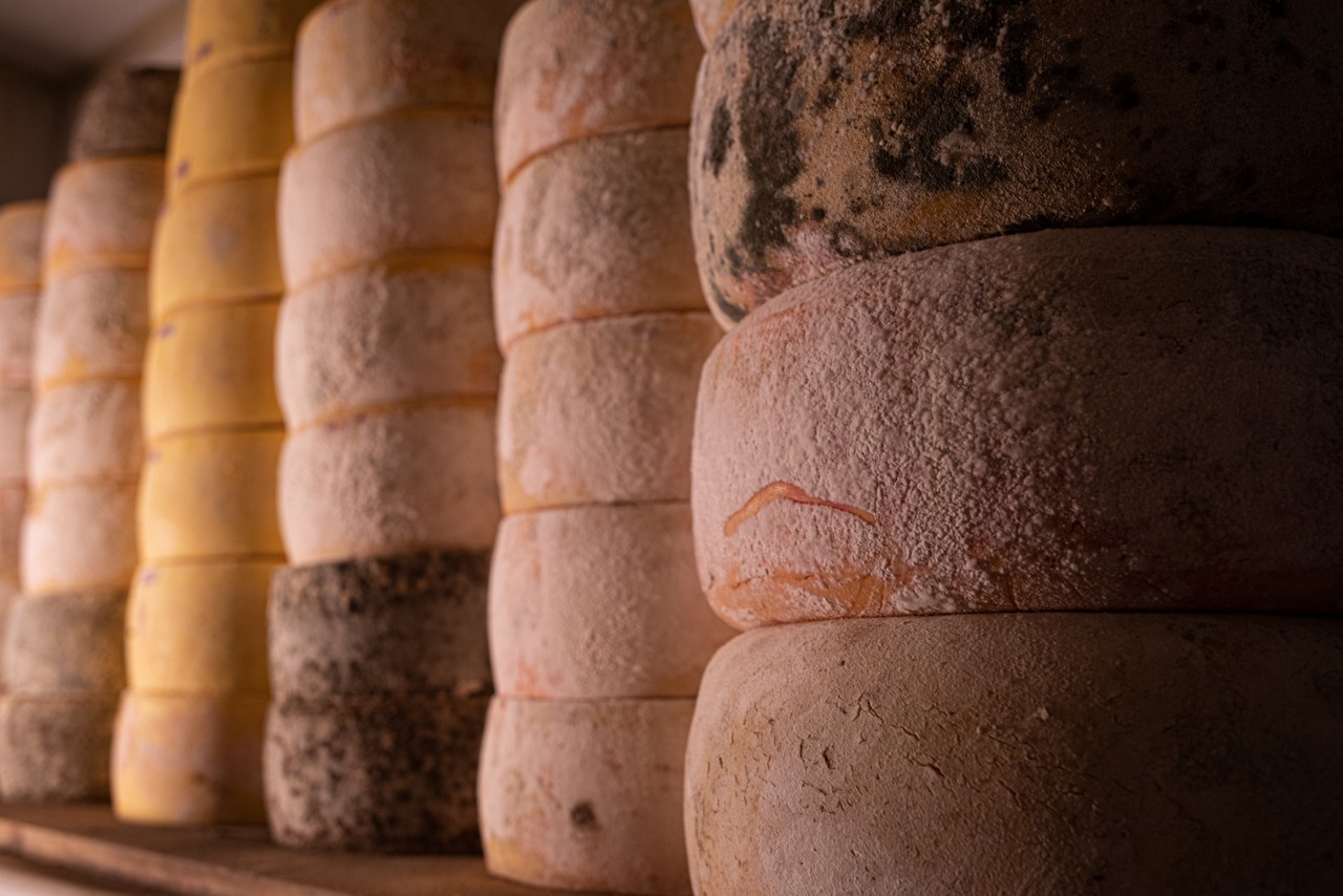Made in Minas Gerais reúne produtores de queijo da Canastra, Mantiqueira de Minas, Diamantina, Araxá e Entre Serras da Piedade ao Caraça