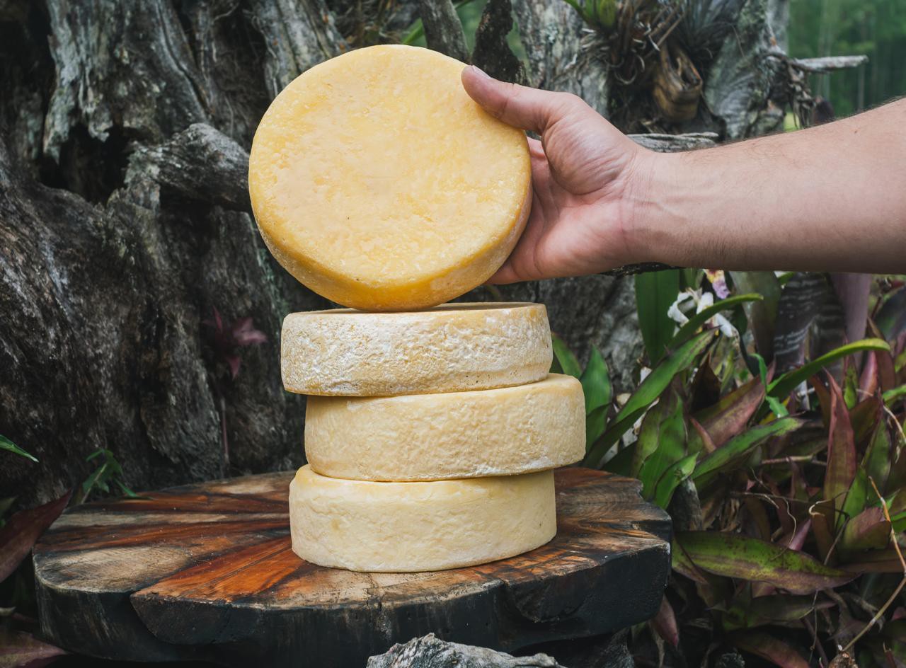 Em 2024, foram produzidos aproximadamente 128 mil quilos de Queijo Minas Artesanal na região