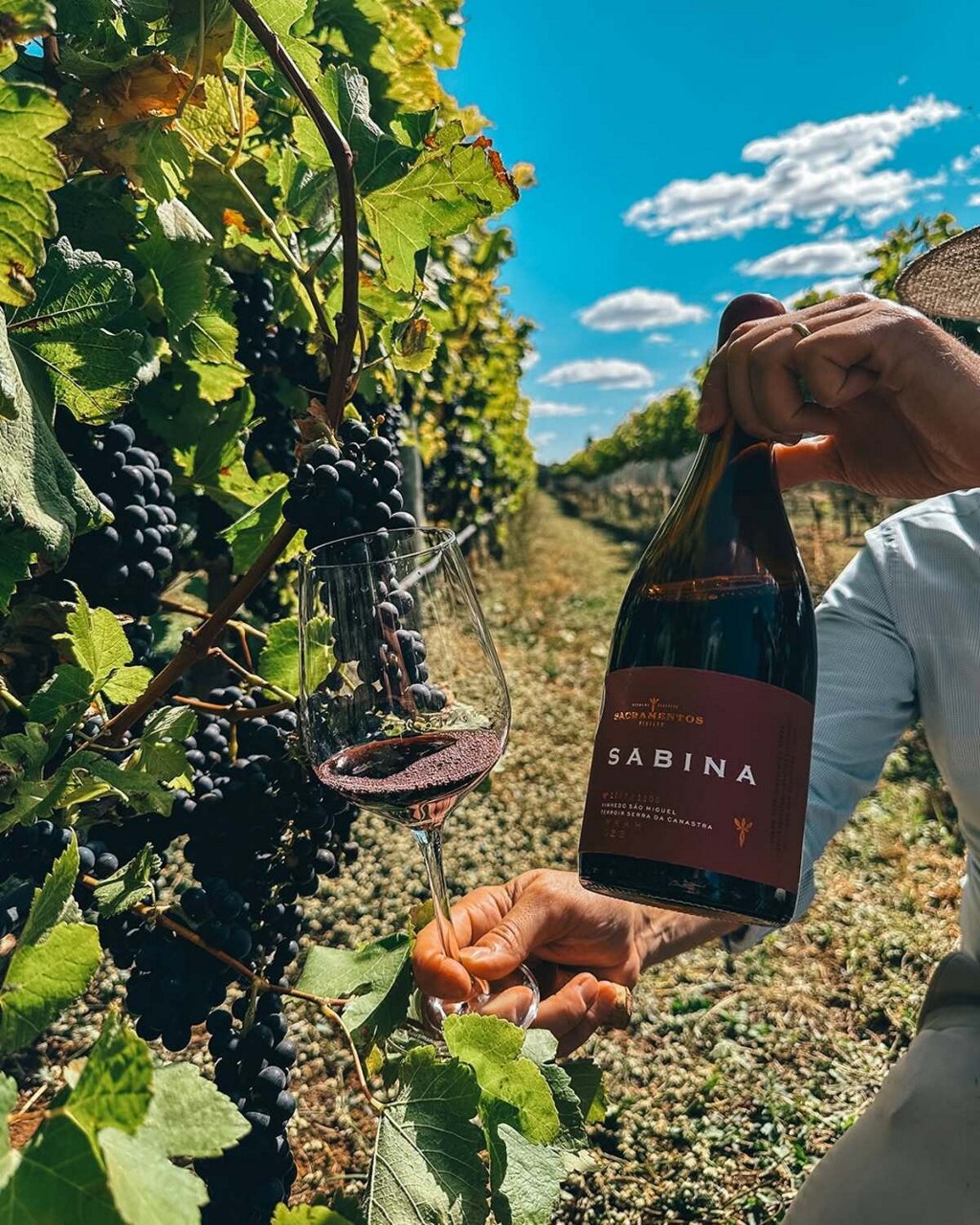 Sacramentos Sabina Syrah Seleção de Parcelas 2024