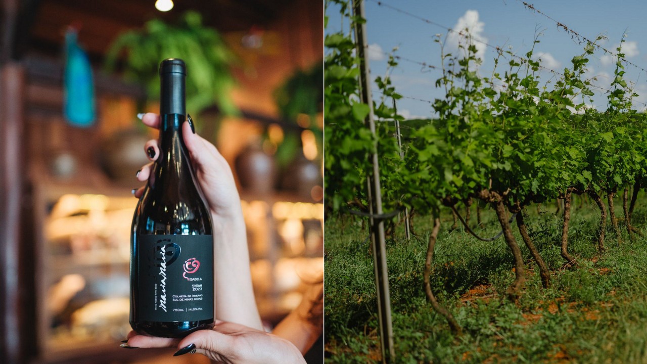 Vinho Isabela Syrah 2023, da vinícola Maria Maria, e Fazenda Capetinga