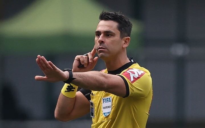 Flávio Rodrigues de Souza já havia expulsado outro goleiro por cera (Foto: Cesar Greco/SE Palmeiras)