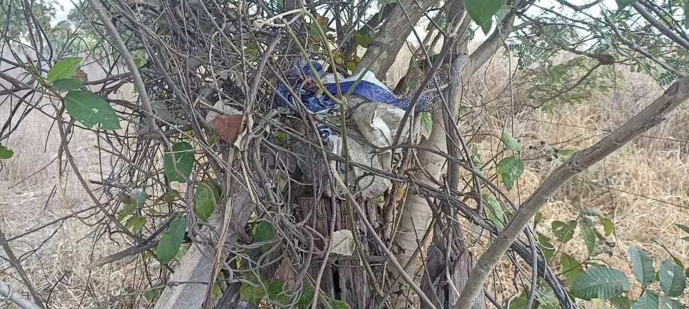 Homem é morto, decapitado e corpo é encontrado carbonizado em Ponto Chique