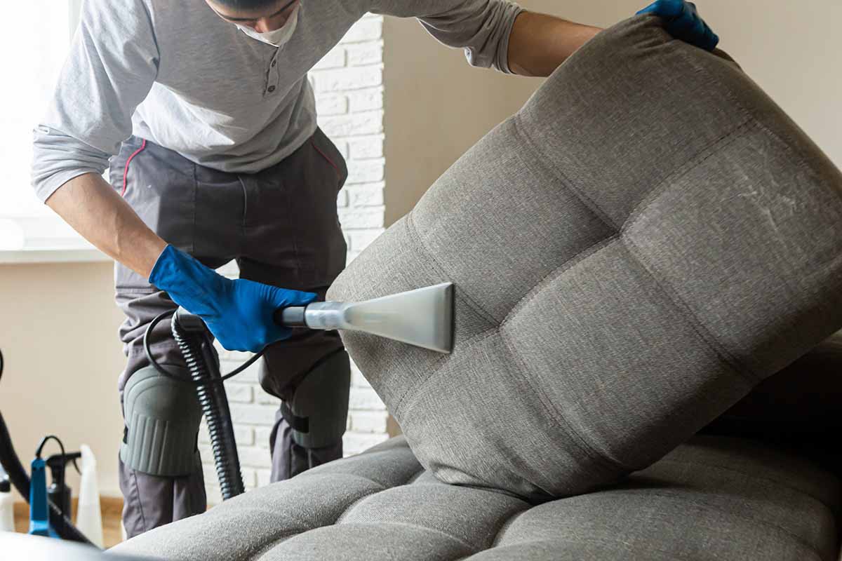 Man cleaning sofa chemical cleaning with professionally extraction method. Upholstered furniture. Early spring cleaning or regular clean up.