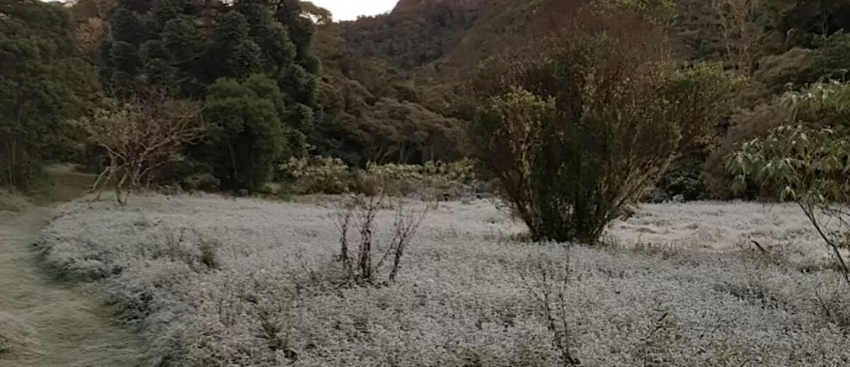 Rio abaixo de 10 °C! Veja as cidades mais frias do estado hoje, segundo o INMET