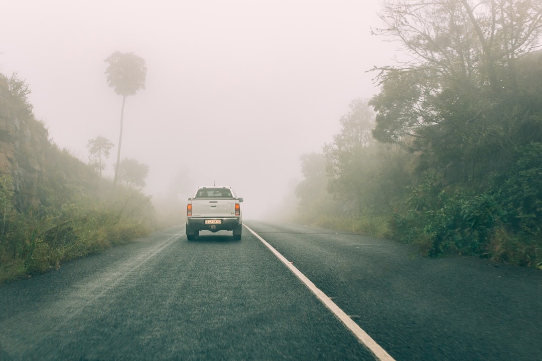 Neblina nas estradas: veja os trechos com maior risco e como dirigir com segurança