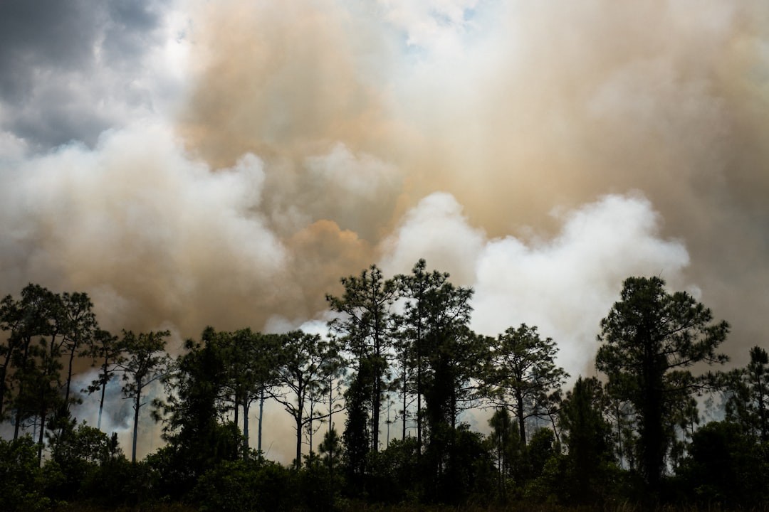 Mudança climática derruba mercado imobiliário na Flórida e expõe nova bolha nos EUA