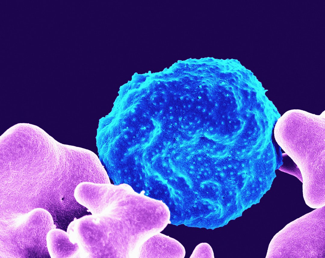 Descoberta rara: antibiótico inédito pode mudar o jogo contra a resistência bacteriana