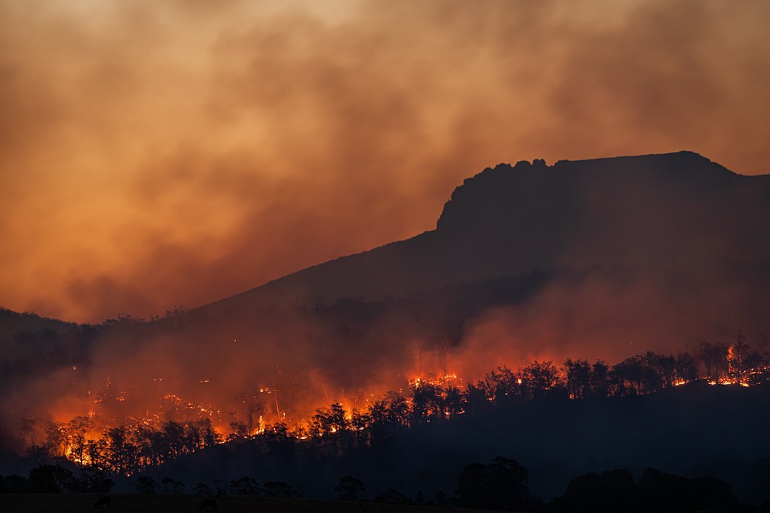 Alerta em Niterói: risco de incêndio florestal aumenta — veja o que evitar agora