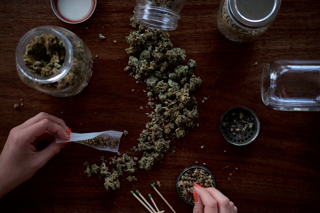 Novo estudo liga uso de maconha ao dobro de risco de morte por doenças cardíacas