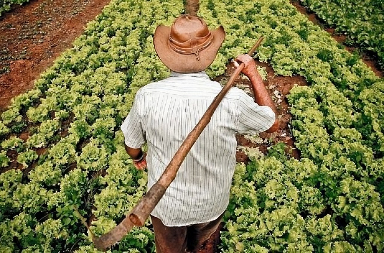 Lula autoriza uso de 12 mil hectares para reforma agrária e assentamentos