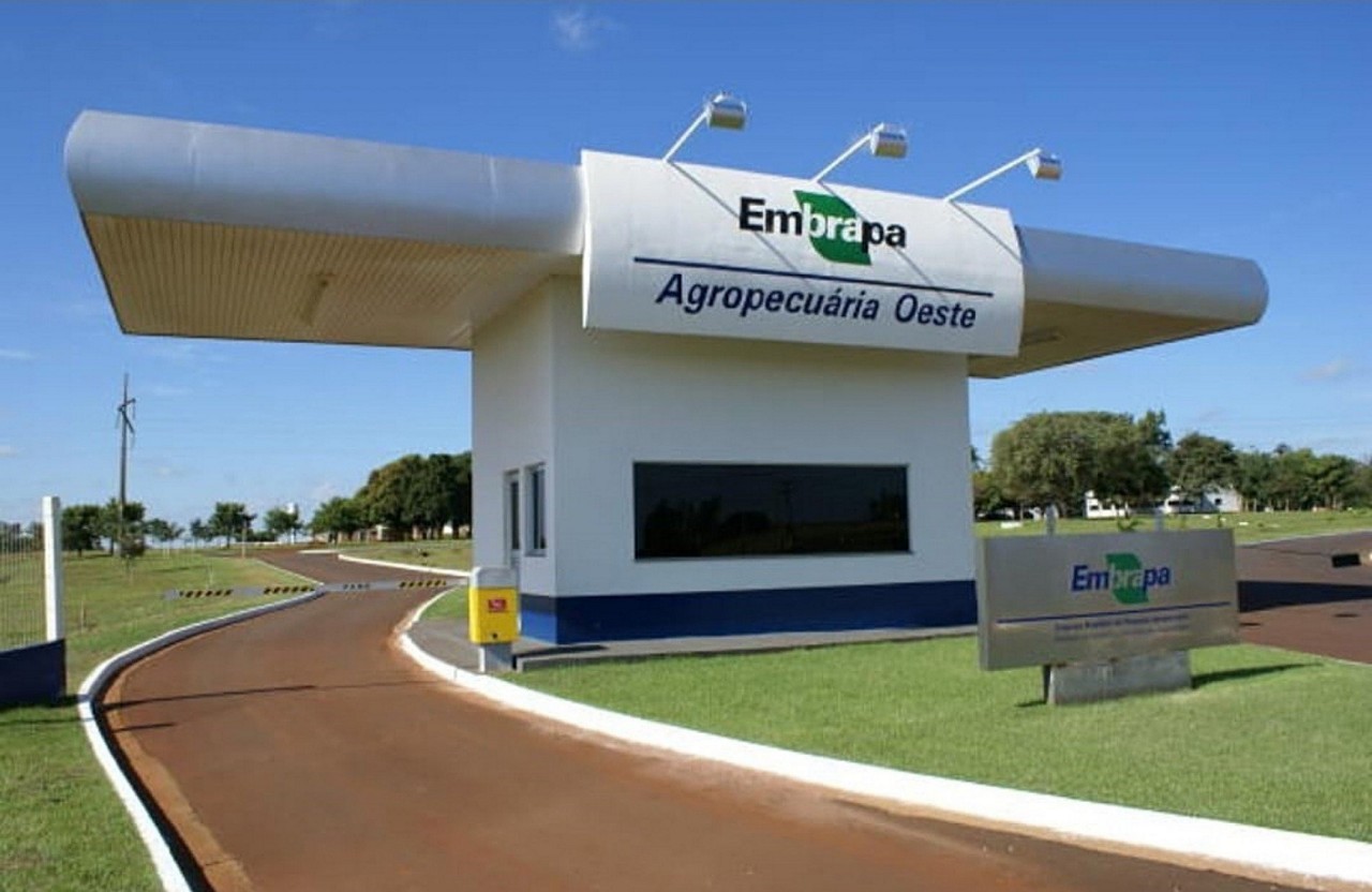 Embrapa divulga resultado provisório de concurso com mais de mil vagas abertas