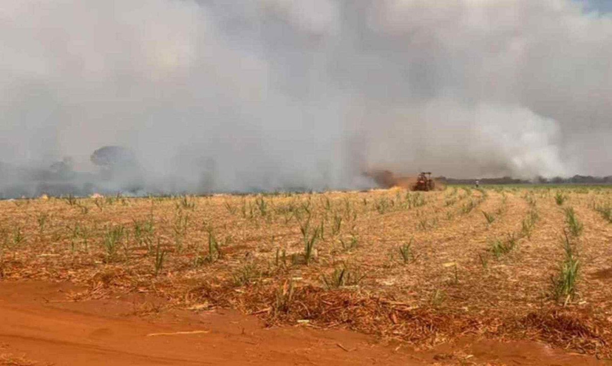 Justiça condena fazendeiro por incêndio que destruiu lavoura de uvas e pitayas